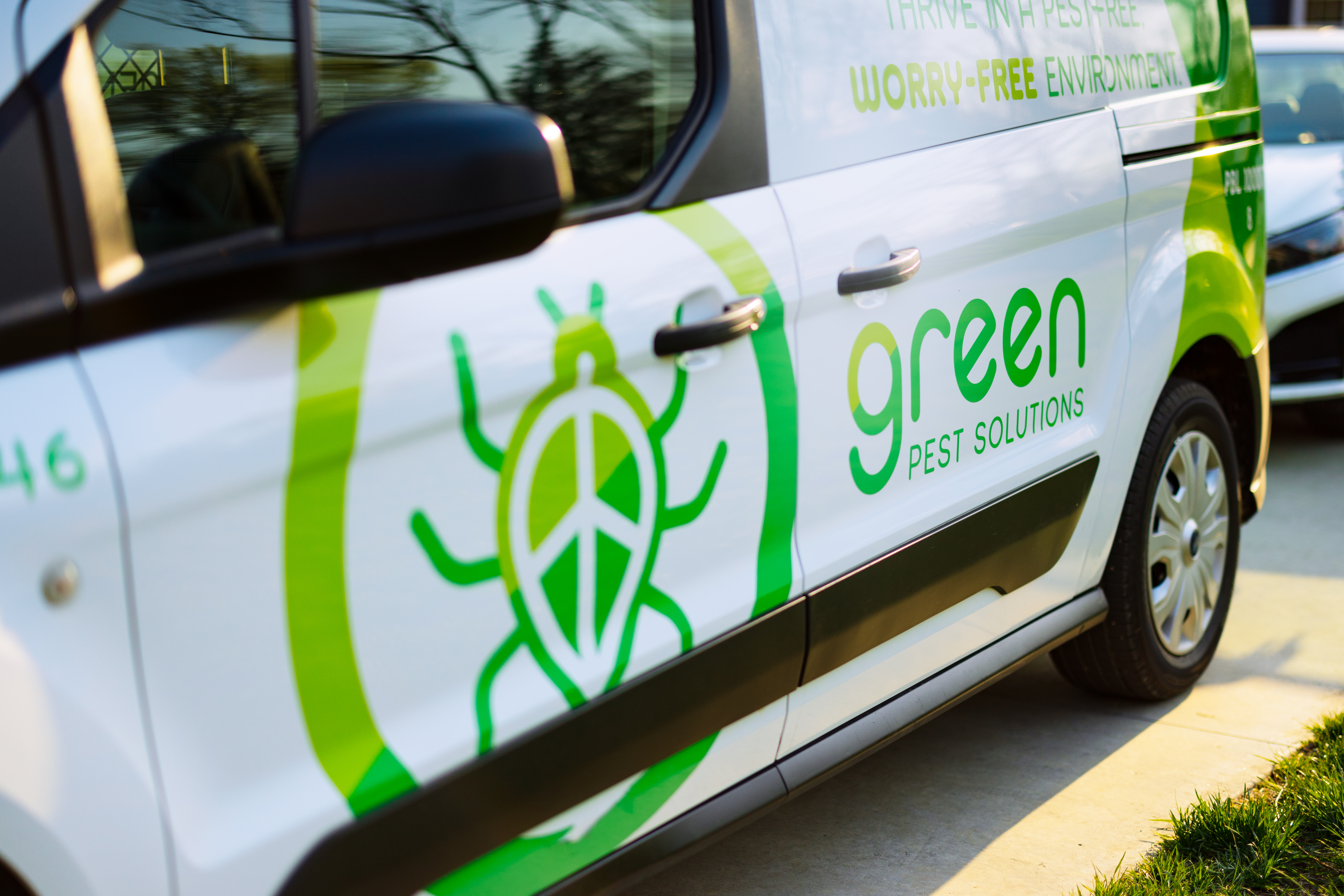 New Year, New Pest-Free Home